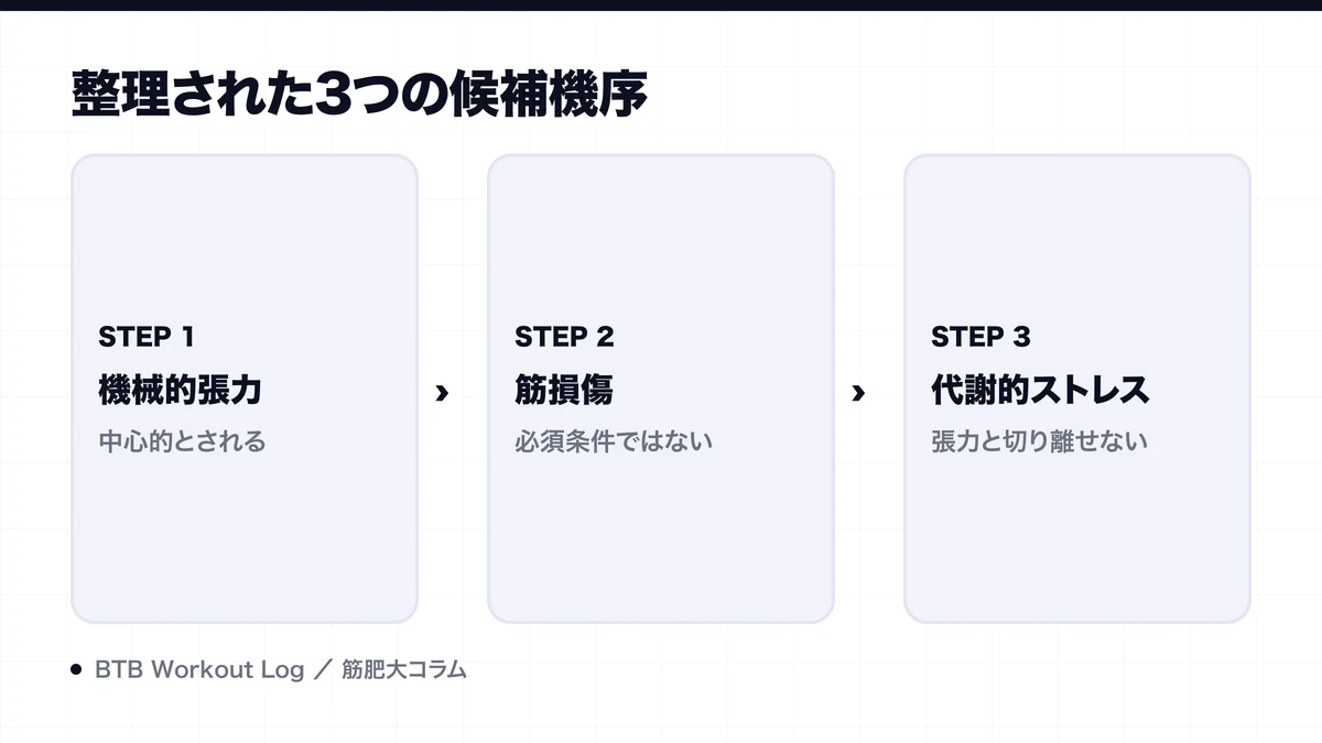 整理された3つの候補機序を示す図解