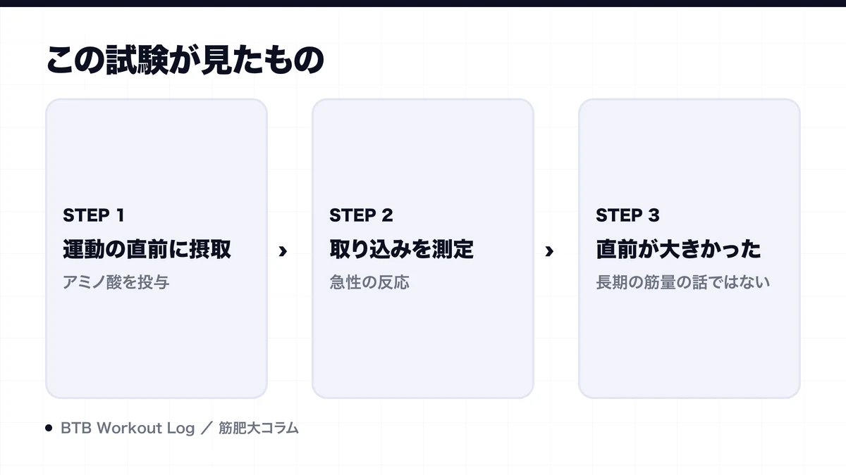 この試験が見たものを示す図解