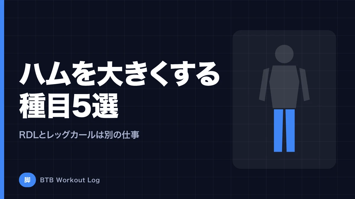 ハムストリングを大きくする種目5選｜RDLとレッグカールを両方やるべき理由