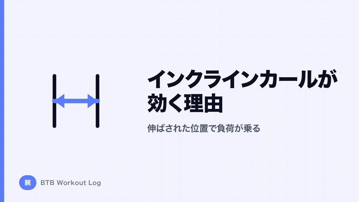インクラインカールはなぜ効く？上腕二頭筋を伸ばして鍛えるメリット