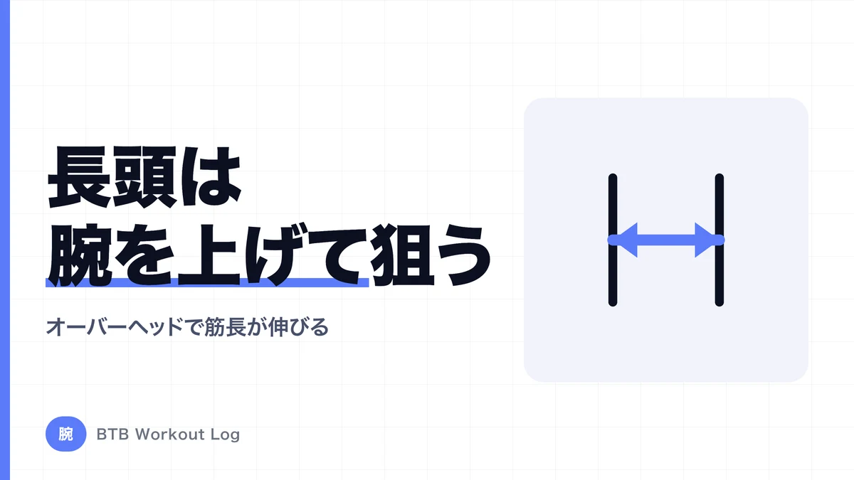 上腕三頭筋長頭を狙うなら腕を上げる？オーバーヘッド種目が重要な理由